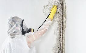 Best Industrial Mold Remediation  in Pawnee, OK